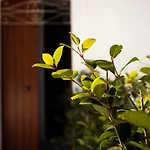 Trulli Donna Isabella לינה וארוחת בוקר לוקורוטונדו