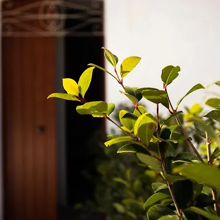 Trulli Donna Isabella Bed & Breakfast Locorotondo