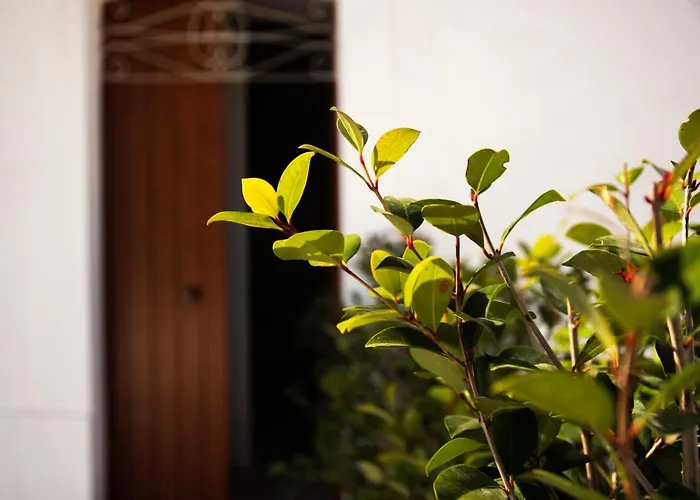 Trulli Donna Isabella Bed and breakfast Locorotondo